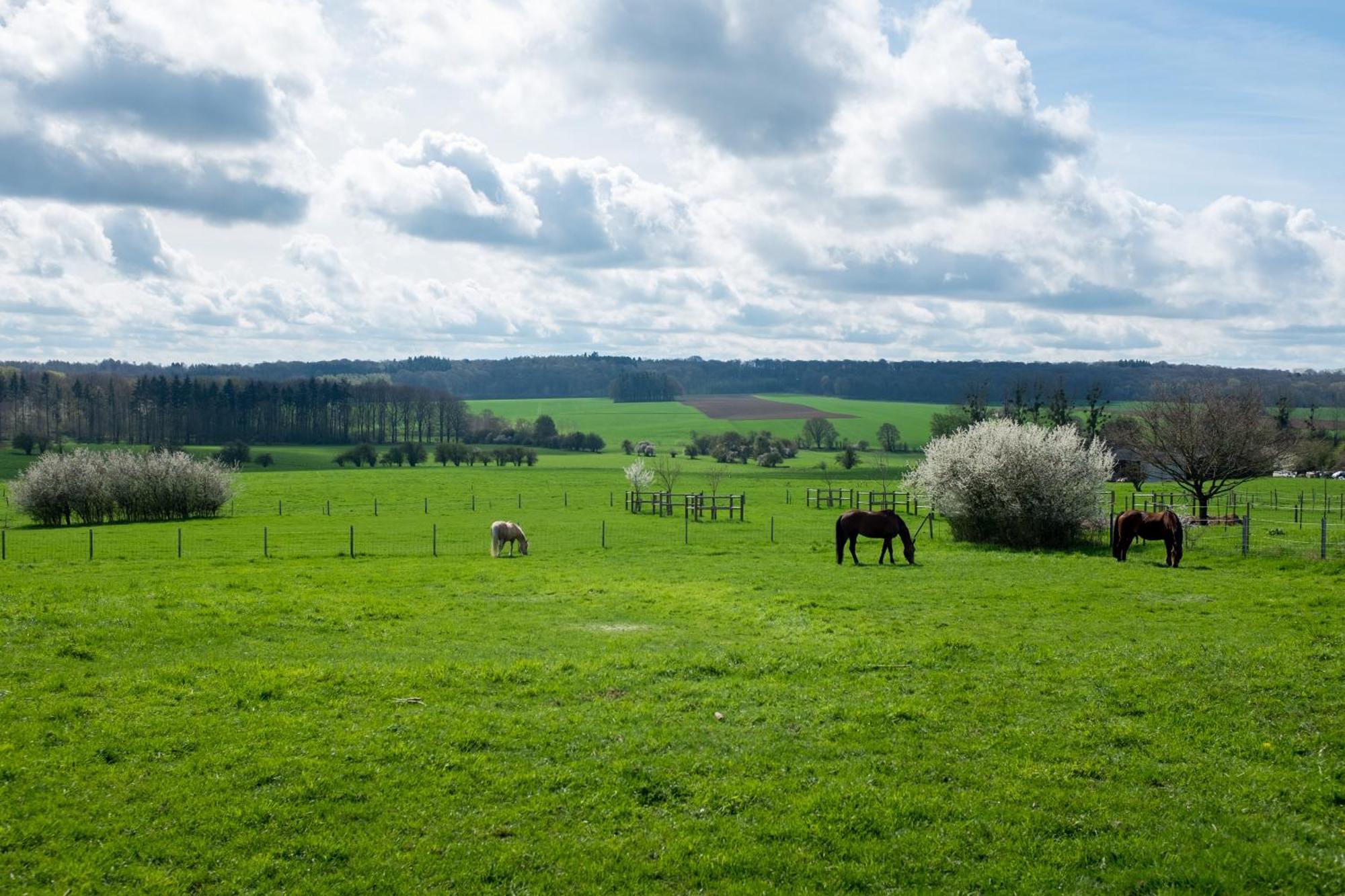 Prim'Tout Ohey Exteriér fotografie